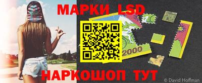 шишки Аргун
