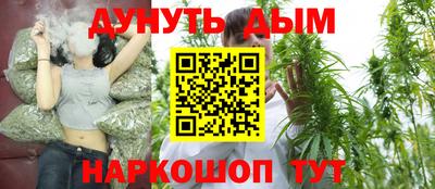 шишки Аргун