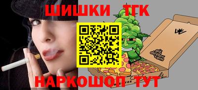 шишки Аргун