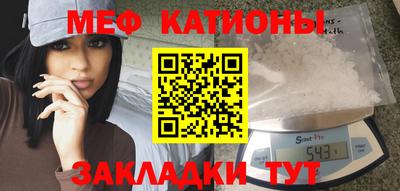 шишки Аргун