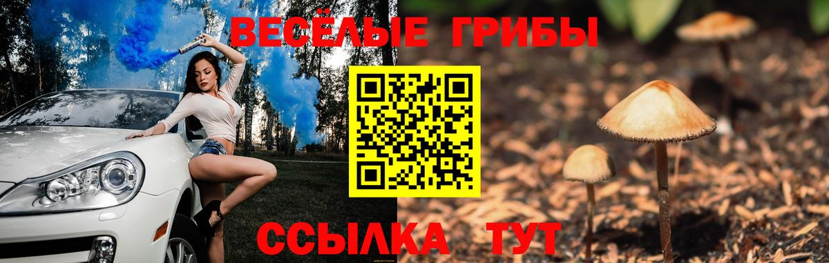 Галлюциногенные грибы прущие грибы Балабаново